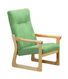 BE - 1 křeslo, koženka HOLY Z 2 - koženka zelinkavá